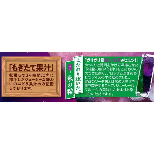 赤城乳業 大人なガリガリ君もぎたてぶどう 100ml