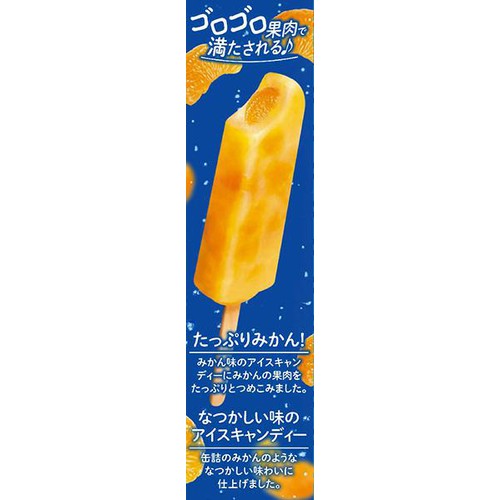 赤城乳業 ガツン、とみかん (一本増量) 58ml x 6本入