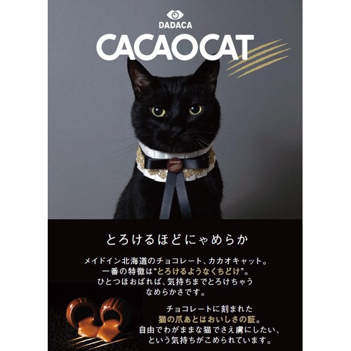 DADACA CACAOCAT ストロベリー 4個入 Green Beans | グリーンビーンズ