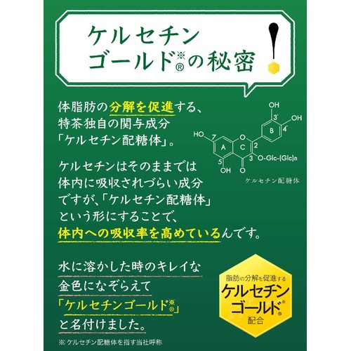 サントリー 伊右衛門特茶 500ml