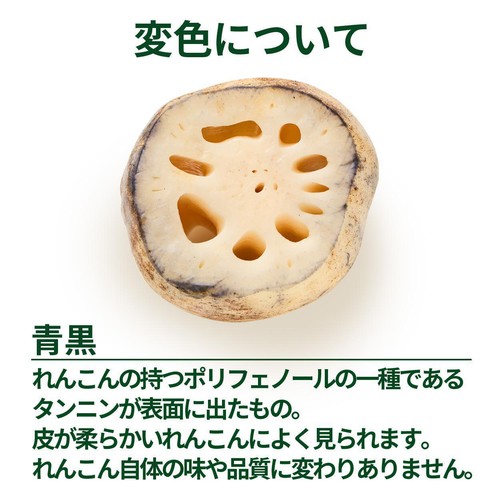 千葉県産 成田ケンコウファーム 成福れんこん(新物) 150g 1パック