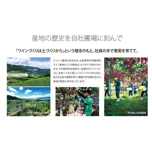 山梨県】 シャトー勝沼 2025年収穫 アジロンダック 750ml Green Beans