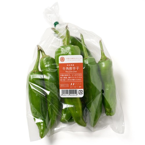 埼玉県産 十色 とうがらし (牛角唐辛子) 100g 1袋