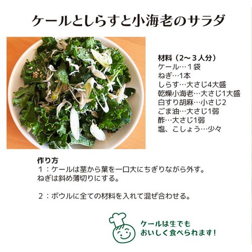 【有機】千葉県産 ケール 80g