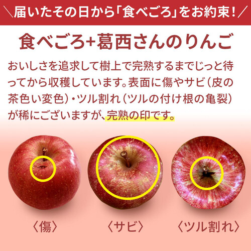 食べごろ+］青森県産 葛西さんのめったら葉とらずりんご 1.2kg 4-6個