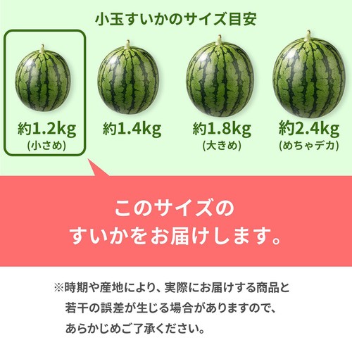 ［食べごろ+］青森県産 工藤さんのタネごと食べられるピノ・ガール 小さめ 1.2kg 1玉
