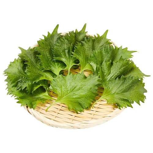 有機】茨城県産矢澤園芸 大葉 10枚 1袋 Green Beans | グリーン