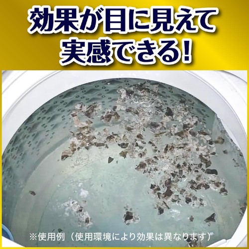 ジョンソン ガッツリ剥がす洗たく槽カビキラー 250g