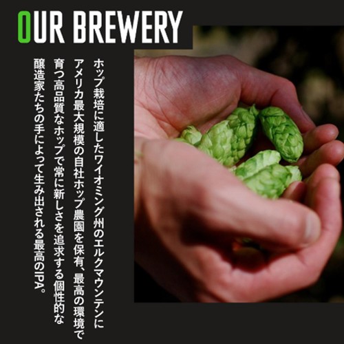 【6%】 グース アイランド IPA 355ml x 6本