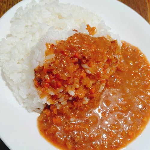 光食品 オーガニックこどもカレー 100g(1人前)