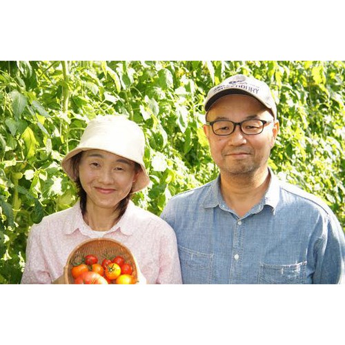 千葉県産 脇田ファームの完熟もぎたてトマト 小さめ 1袋 450g 4 千葉県産 脇田ファームの完熟もぎたてトマト 小さめ 1袋 450g 4