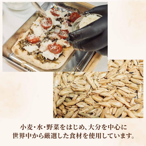 【冷凍】CASA CUOMO PIZZA 4種のチーズ 1枚(238g)