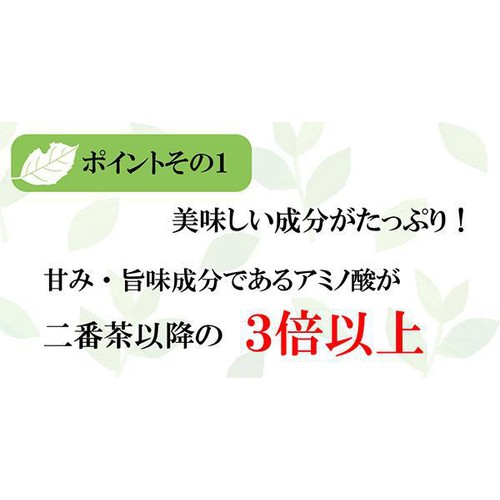 葉桐 静岡新茶ティーバッグ 旬 20袋入
