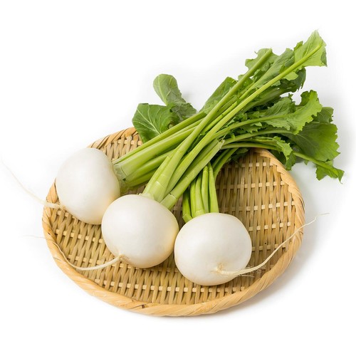 千葉県産イオン農場 かぶ 500g 3-5個 1袋