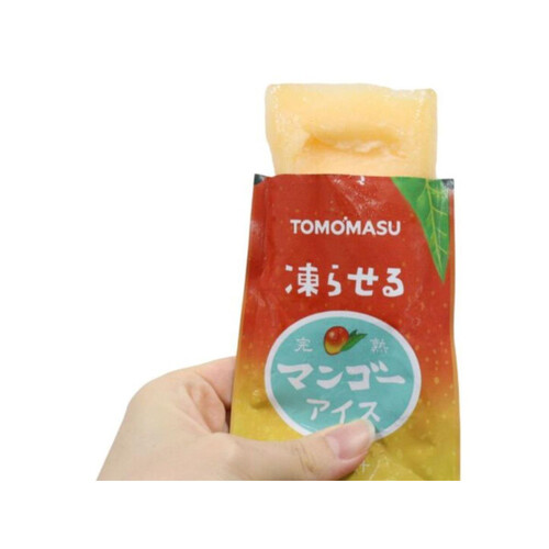 shin出品 ×3個 マンゴー ミックス ブルーベリーアイス とろける