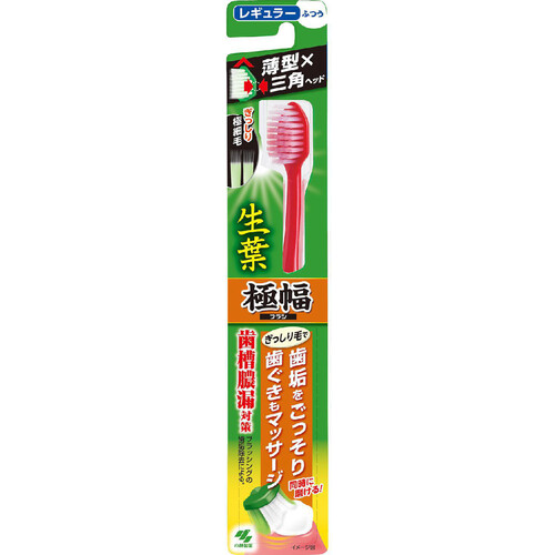 3日間　限定値下げ　　ウィルキンス歯科衛生士の臨床 原著 激レア CBFNビルト11－1 ソアBW本体 | 製品詳細 | シーピー