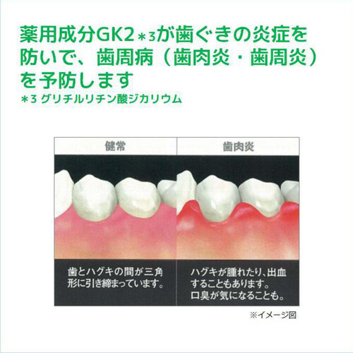 サンスター ガム・デンタルペースト 爽快タイプ 120g