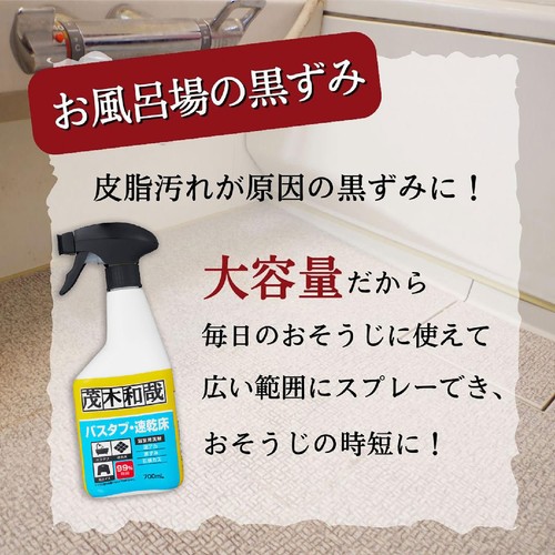 レック 茂木和哉 バスタブ 凸凹床用洗剤 700ml
