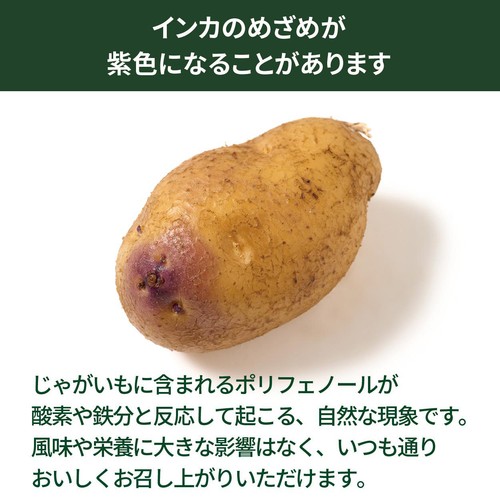 北海道産森浦農場 じゃがいも インカのめざめ(こつぶ) 600g 1袋 Green