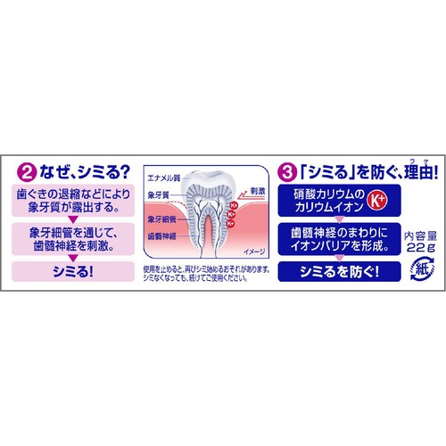 シュミテクト 歯周病ケア 22g