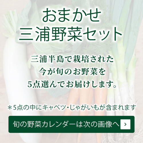 神奈川県産 おまかせ三浦野菜セット 1パック