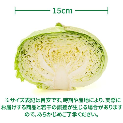 【有機】国内産 キャベツ 1/2切