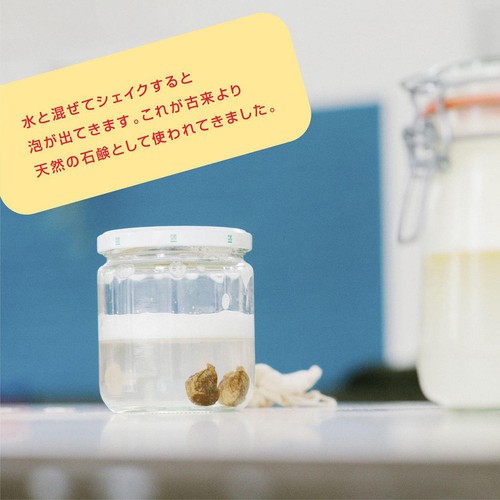 Soaply ソープリー ハンドソープ ユーカリプタス&ローズマリー 300ml