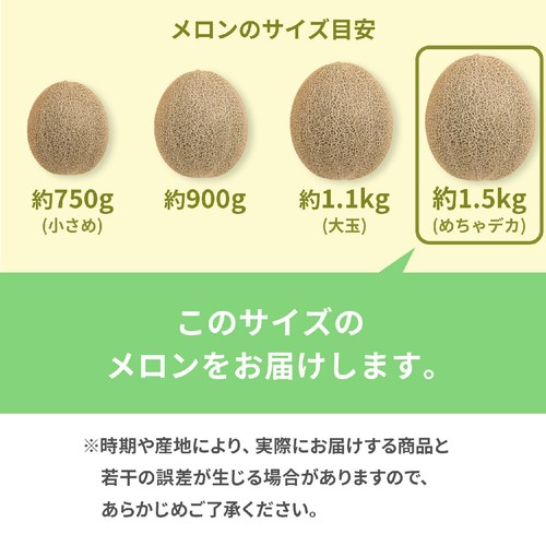 熊本県産 味咲の肥後グリーンメロン めちゃデカ 1.5kg 1個