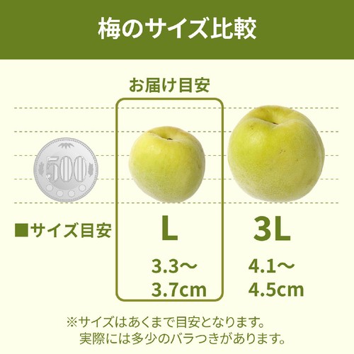 和歌山県産 南高梅 500g 1袋