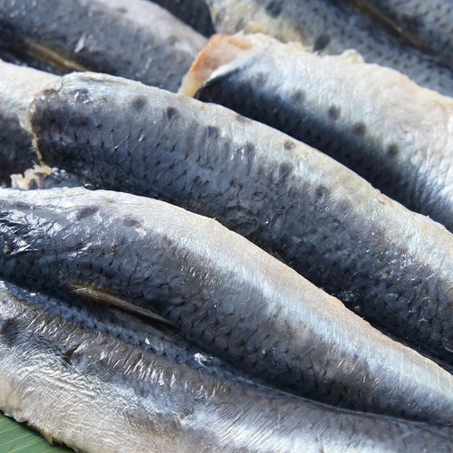 【冷凍】 北海道産パクパクいわし 200g 6～9枚