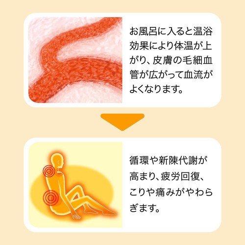 花王 バブ 至福の花果実めぐり浴 12錠