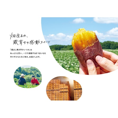 カルビーかいつかスイートポテト むらさき天使 焼き芋【冷凍】 500g