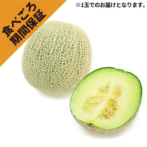 ［食べごろ+］山形県産 庄内砂丘メロン(青肉) 大玉 1.1kg 1玉