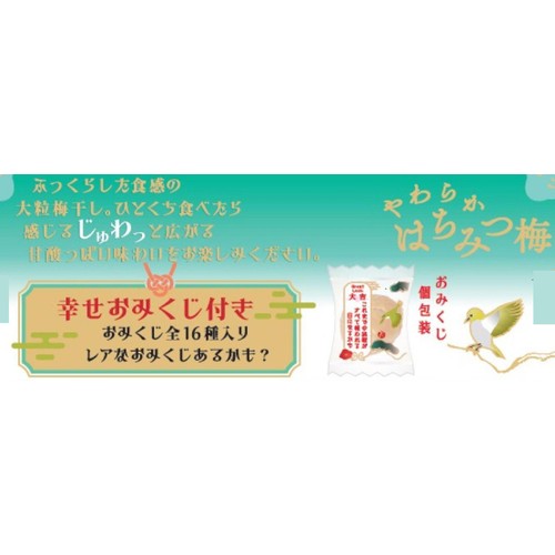 カンロ やわらかはちみつ梅 40g
