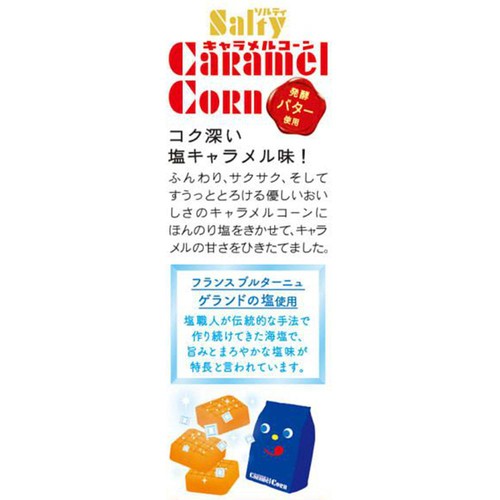 東ハト ソルティキャラメルコーン 67g