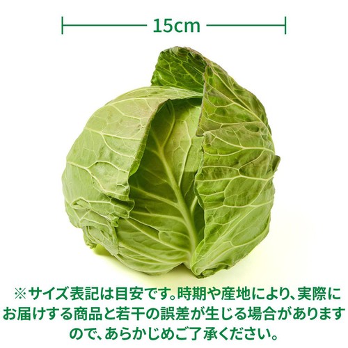 [鮮度+]【有機】国内産 キャベツ(こぶり) 1個