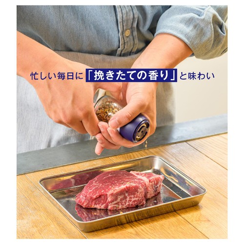 ハウス食品 GABAN ギャバン レモン & マスタード ミル付き シーズニング 20g