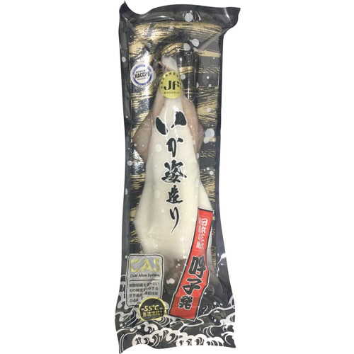 CAS冷凍】 呼子の剣先イカ 姿造り 1杯 約200g Green Beans | グリーン