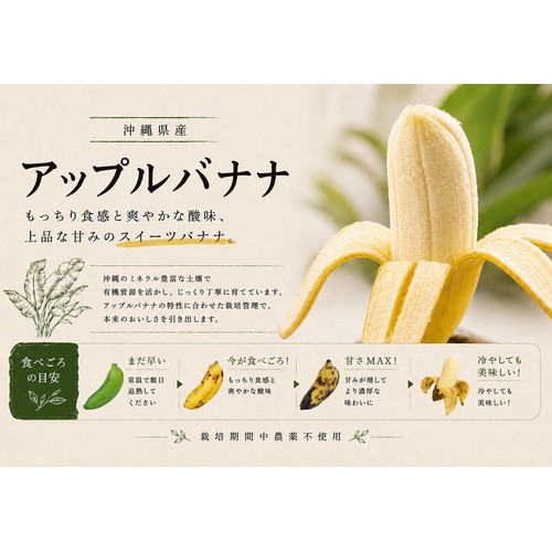 沖縄県産 泉川ファームのアップルバナナ 300g