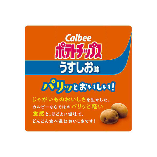 カルビー ビッグバッグ ポテトチップス うすしお味 160g