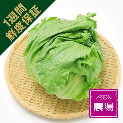 ［鮮度+］長野県産 レタス 1個