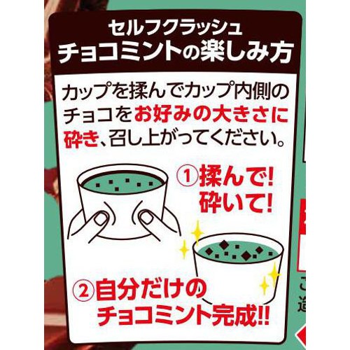 赤城乳業 セルフクラッシュ チョコミント 150ml Green Beans