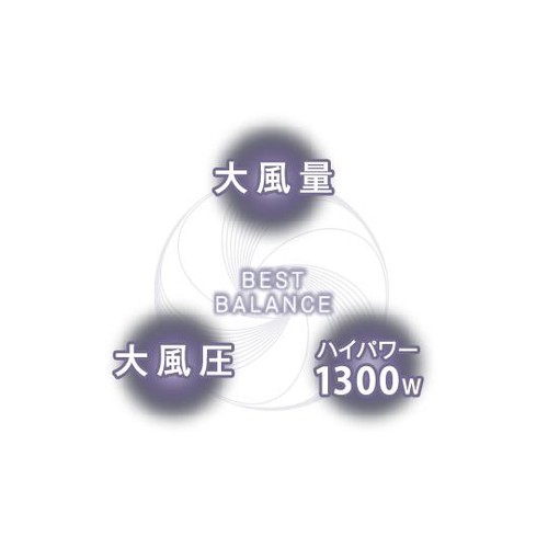 テスコム プロテクトイオン ヘアードライヤー ブラック TD570AK