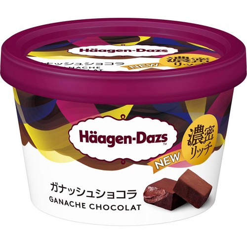 ハーゲンダッツ ミニカップ ガナッシュショコラ 110ml
