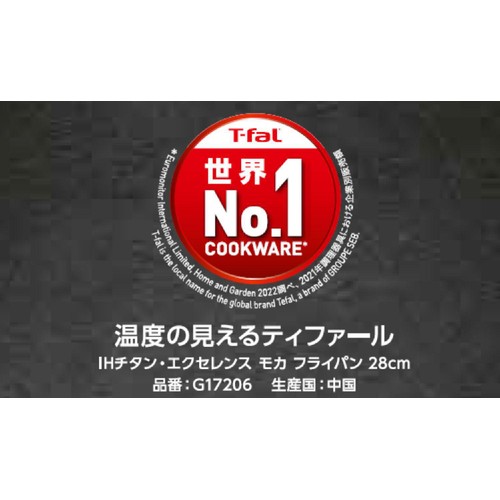 ティファール IHチタン・エクセレンス モカ フライパン 28cm G17206