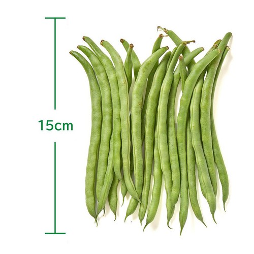 福島県産 いんげん 150g