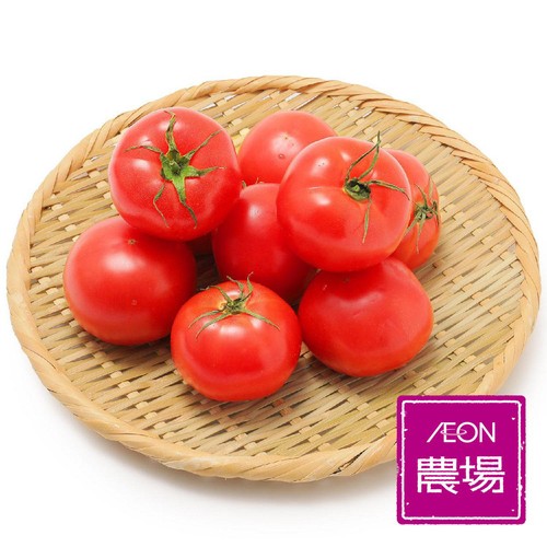 埼玉県産イオン農場 まるまる赤トマト 1kg(9～12個)