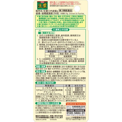 【第3類医薬品】生葉口内塗薬 20g