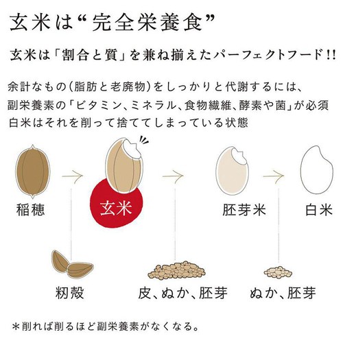 結わえる 寝かせ玄米ごはん 小豆ブレンド 160g