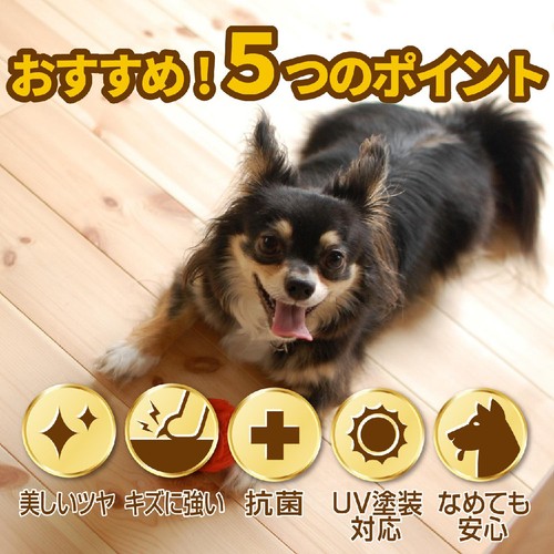 【ペット用】 リンレイ  室内犬用 滑り止め床用コーティング剤 シートタイプ 4枚